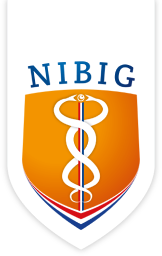 nibig logo